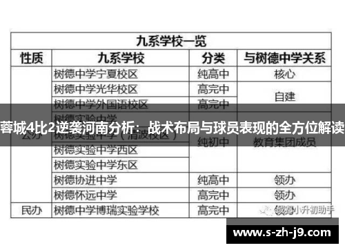 蓉城4比2逆袭河南分析：战术布局与球员表现的全方位解读