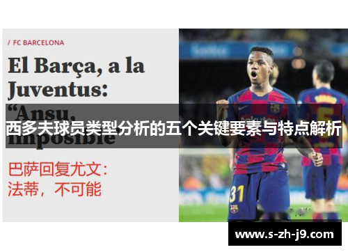 西多夫球员类型分析的五个关键要素与特点解析