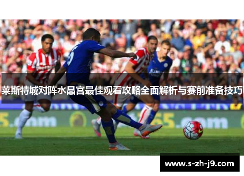 莱斯特城对阵水晶宫最佳观看攻略全面解析与赛前准备技巧
